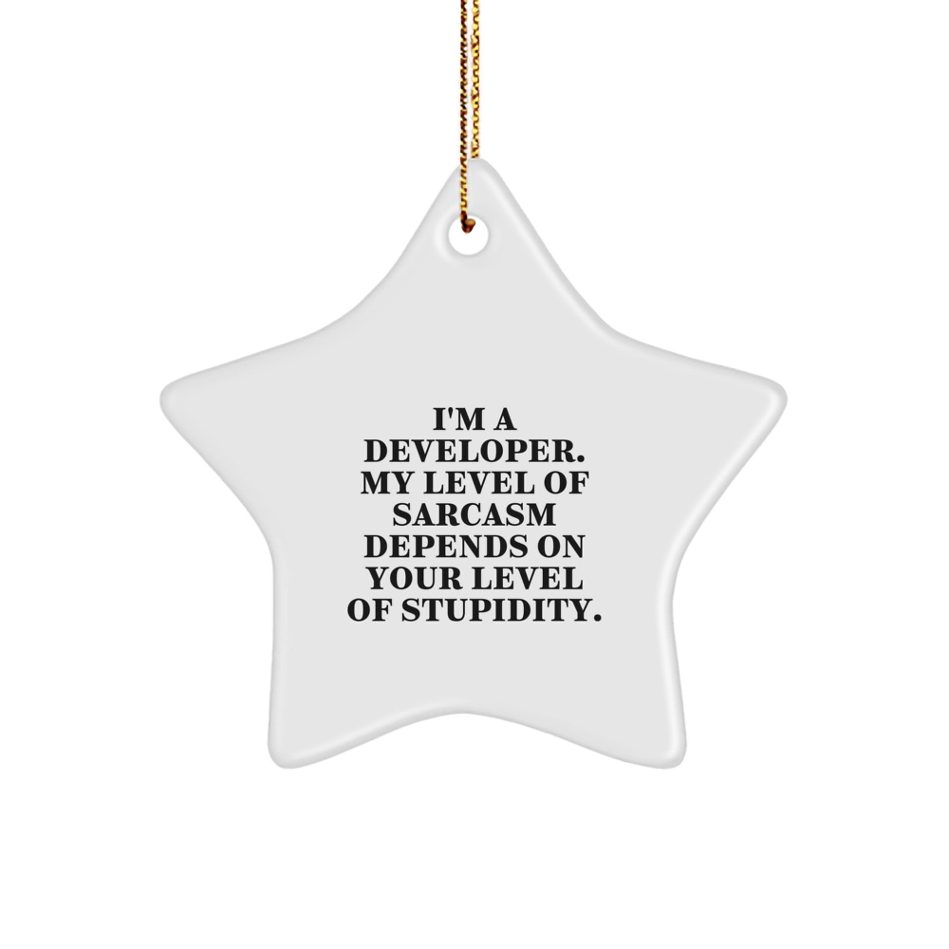 Funny Developer Gifts from Friends, Christmas Unique Star Ornament for Men, Inspirational Quote 'I'm A Developer. My Level Of Sarcasm Depends On Your Level Of Stupidity.' - Image 1