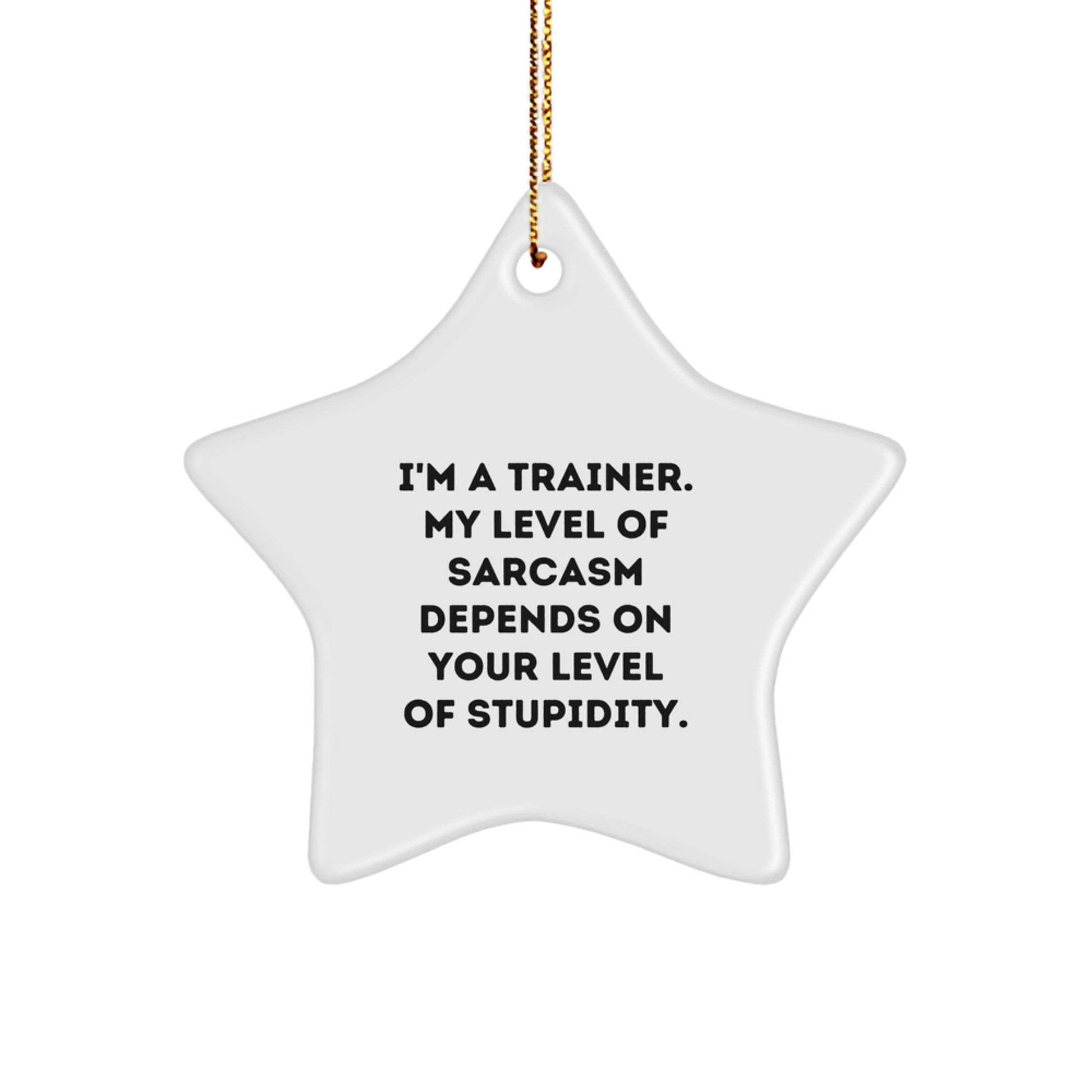 Funny Trainer Star Ornament Gifts from Friends and Family for Trainer Christmas Unique Decorations - Image 1