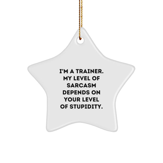 Funny Trainer Star Ornament Gifts from Friends and Family for Trainer Christmas Unique Decorations - Image 1