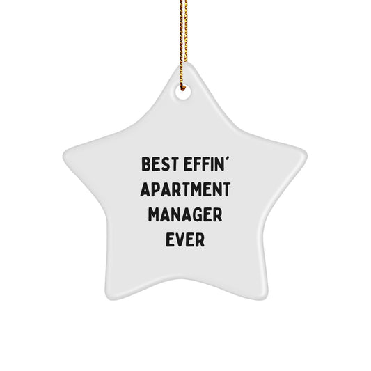 Gifts from Friends for Best Effin' Apartment Manager Ever White Star Ornament, Funny Christmas Decorations for Apartment Managers, Unique Star Shaped Gift for Apartment Manager - Image 1