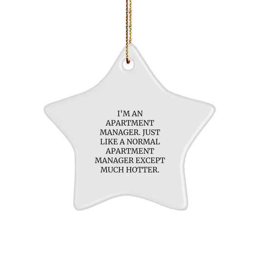 Funny Apartment Manager Gifts - Star Ornament for Apartment Manager Friends, Colleagues, or Family - Hotter Than Normal Apartment Manager Star Decoration for Christmas Unique Gifts - Image 1