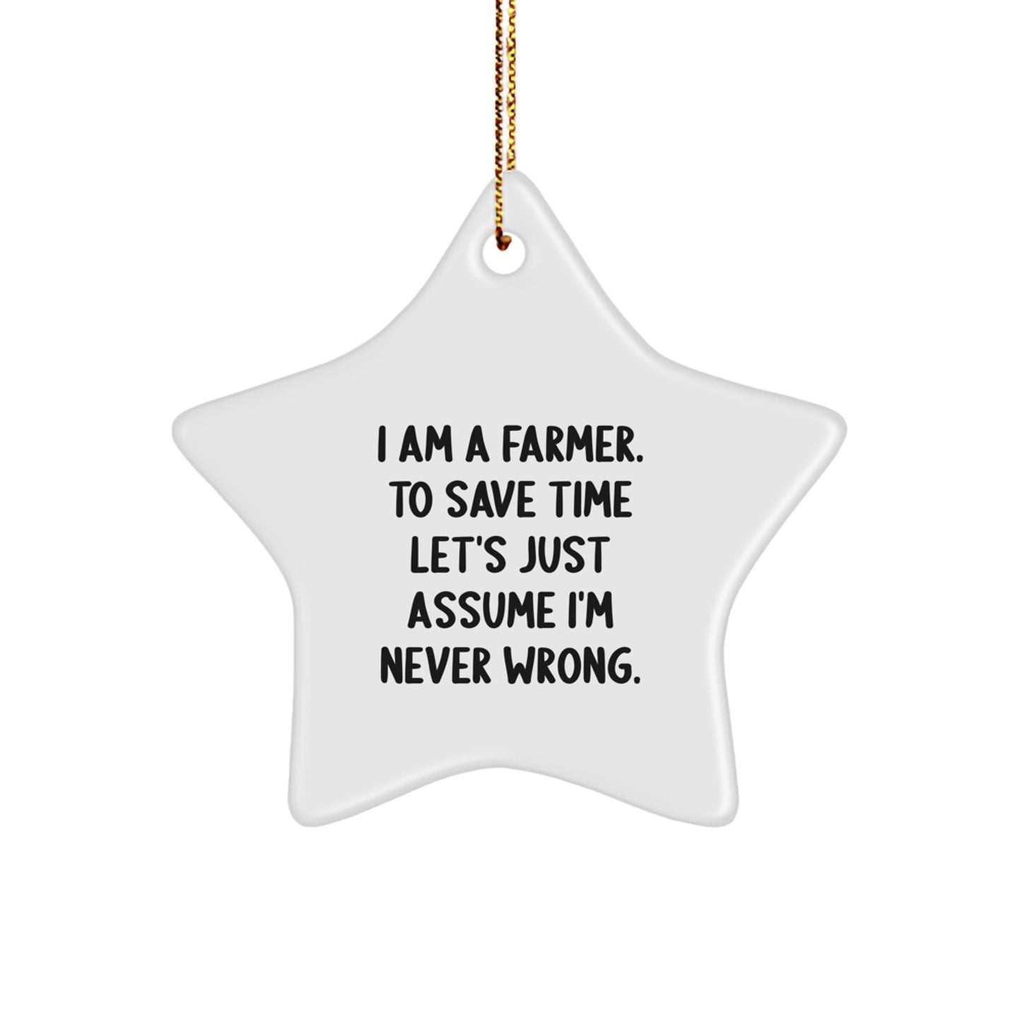 Funny Farmer Star Ornament Gifts for Men, Unique Christmas Unique Gifts from Friends, Inspirational Star Shaped Decoration - Image 1