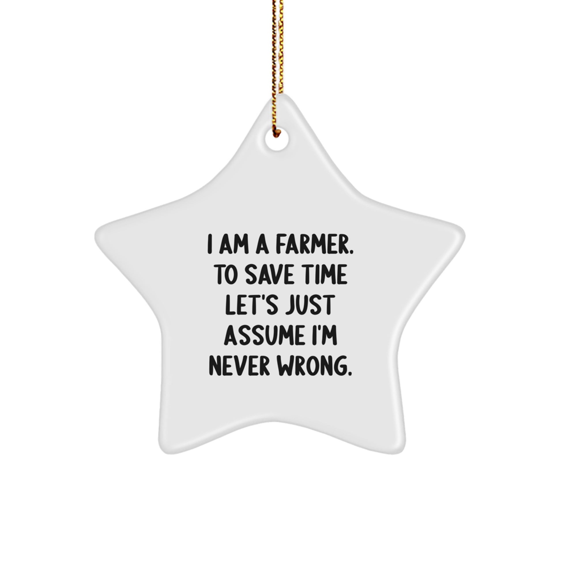 Funny Farmer Star Ornament Gifts for Men, Unique Christmas Unique Gifts from Friends, Inspirational Star Shaped Decoration - Image 1
