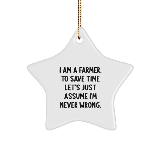 Funny Farmer Star Ornament Gifts for Men, Unique Christmas Unique Gifts from Friends, Inspirational Star Shaped Decoration - Image 1
