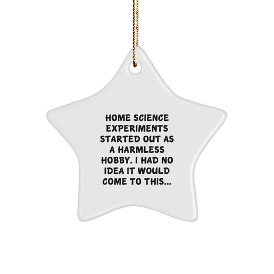 Home Science Experiments Funny Quote Star Ornament Gifts from Family - Perfect for Home Science Experiments Enthusiasts, Men, Women, or Friends this Christmas Unique Gifts - Image 1