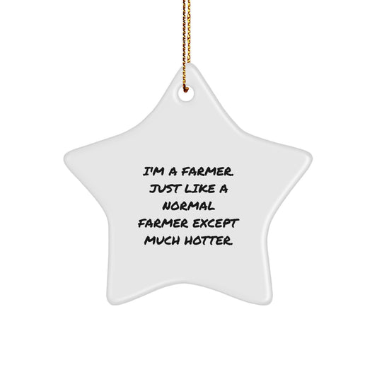 Funny Gifts from Friends and Family for the Farmer in Your Life, Star Ornament for Christmas Decorations, 'I'm A Farmer. Just Like A Normal Farmer Except Much Hotter.' Quote - Image 1