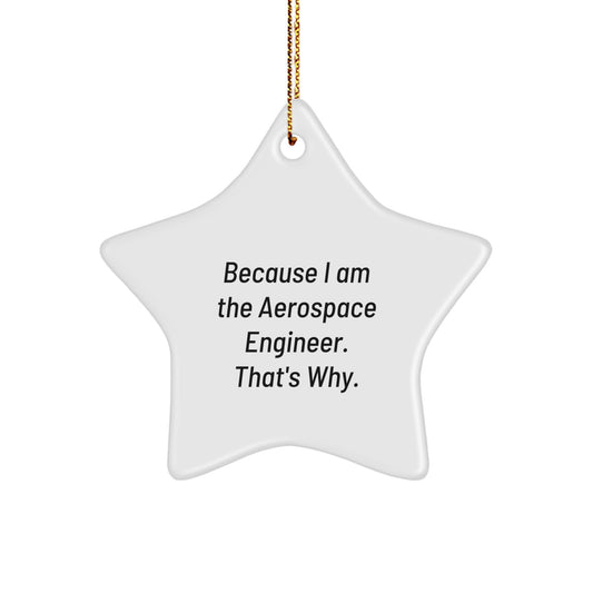 Funny Aerospace Engineer Star Ornament for Christmas Unique Gifts from Friends - Image 1