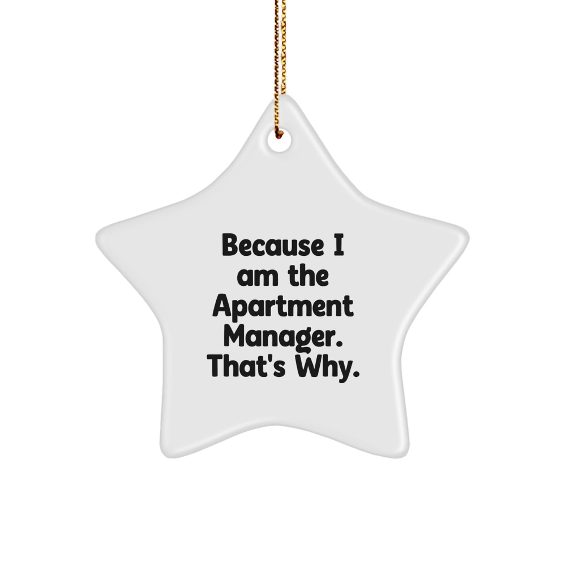 Funny Quote Apartment Manager Gifts from Friends, Christmas Star Ornament for Apartment Managers, Because I Am The Apartment Manager. That's Why. - Image 1