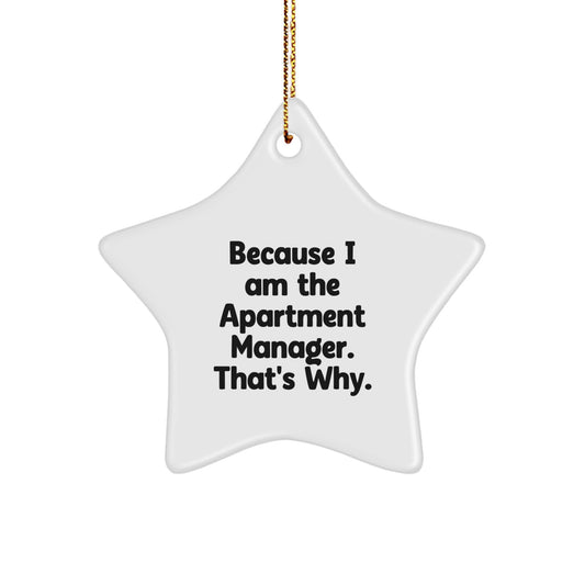 Funny Quote Apartment Manager Gifts from Friends, Christmas Star Ornament for Apartment Managers, Because I Am The Apartment Manager. That's Why. - Image 1