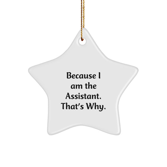 Funny Assistant Gifts from Friends, Christmas Unique Star Ornament for Men, Women, Coworkers, Family - Because I Am The Assistant. That's Why. - Image 1