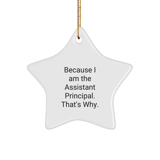 Funny Christmas Unique Gifts for Assistant Principals Men Women Friends Coworkers Family - Star Ornament With Quote 'Because I Am The Assistant Principal. That's Why.' - Image 1