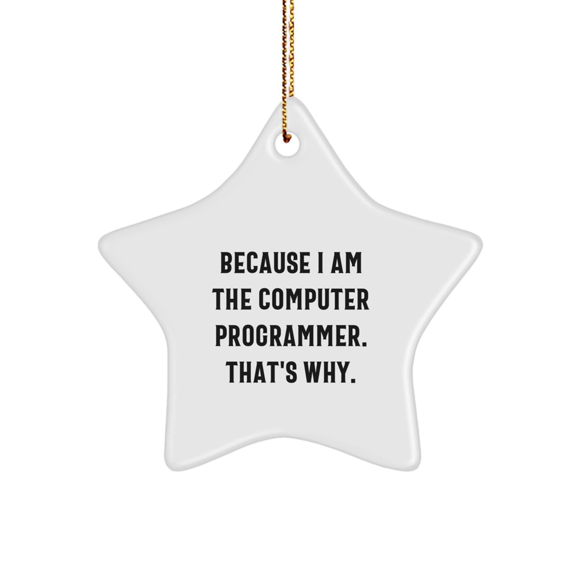 Funny Computer Programmer Gifts from Friends - Star Ornament Because I Am The 'Computer Programmer. That's Why.' - Unique Christmas Unique Gifts for Men Women Family Friends Coworkers - Image 1