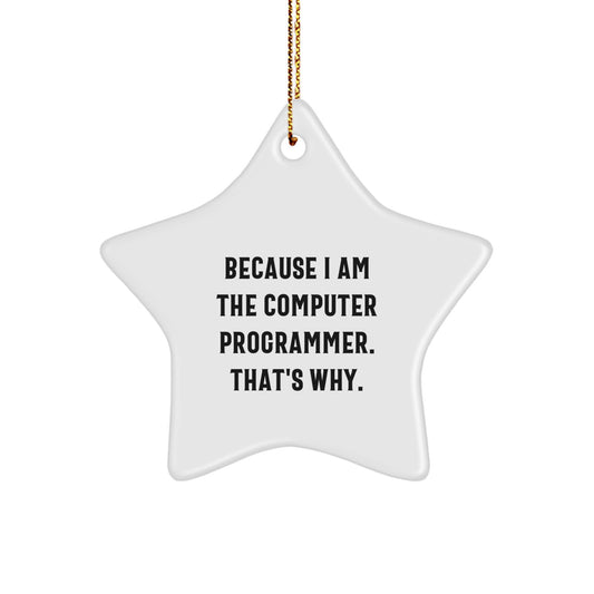 Funny Computer Programmer Gifts from Friends - Star Ornament Because I Am The 'Computer Programmer. That's Why.' - Unique Christmas Unique Gifts for Men Women Family Friends Coworkers - Image 1