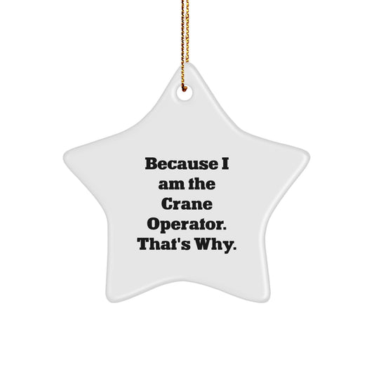 Funny Crane Operator Gifts for Men Friends Family - Star Ornament Because 'I Am The Crane Operator. That's Why.' Gifts from Friends - Image 1