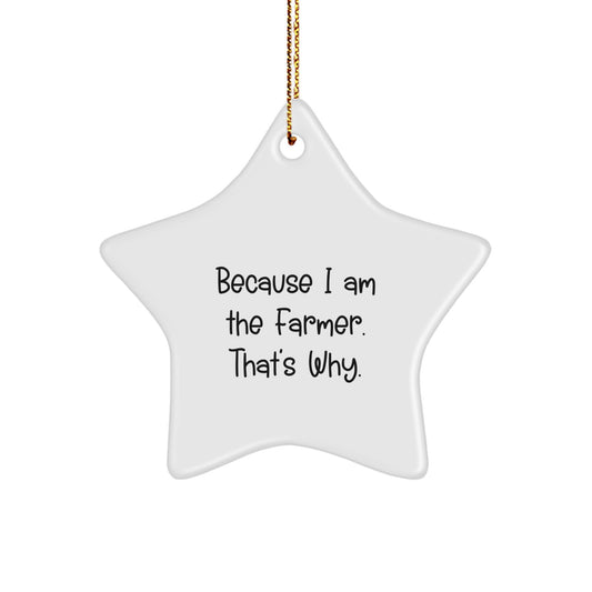 Funny Farmer Gifts, Because I Am The Farmer. That's Why., White Star Ornament for Christmas Unique Gifts from Family to Farmer - Image 1