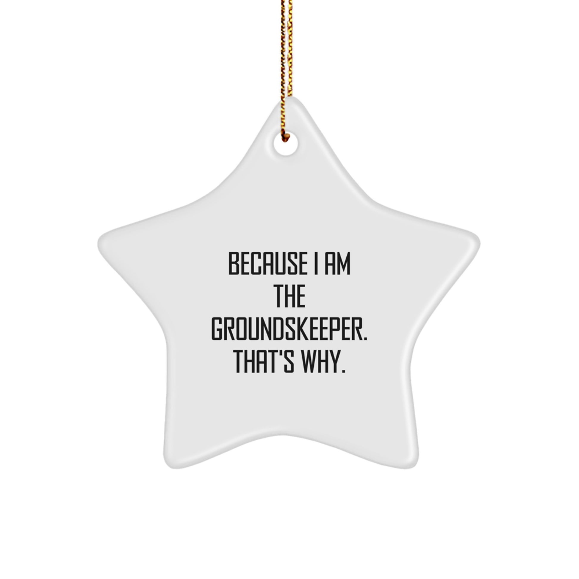 Funny groundskeeper Christmas Star Ornament Gifts from Family, Unique groundskeeper Star Ornament, Because I Am The groundskeeper. That's Why. - Image 1