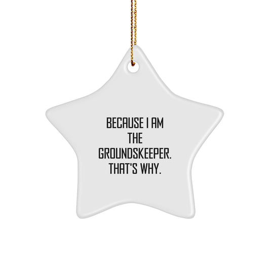 Funny groundskeeper Christmas Star Ornament Gifts from Family, Unique groundskeeper Star Ornament, Because I Am The groundskeeper. That's Why. - Image 1