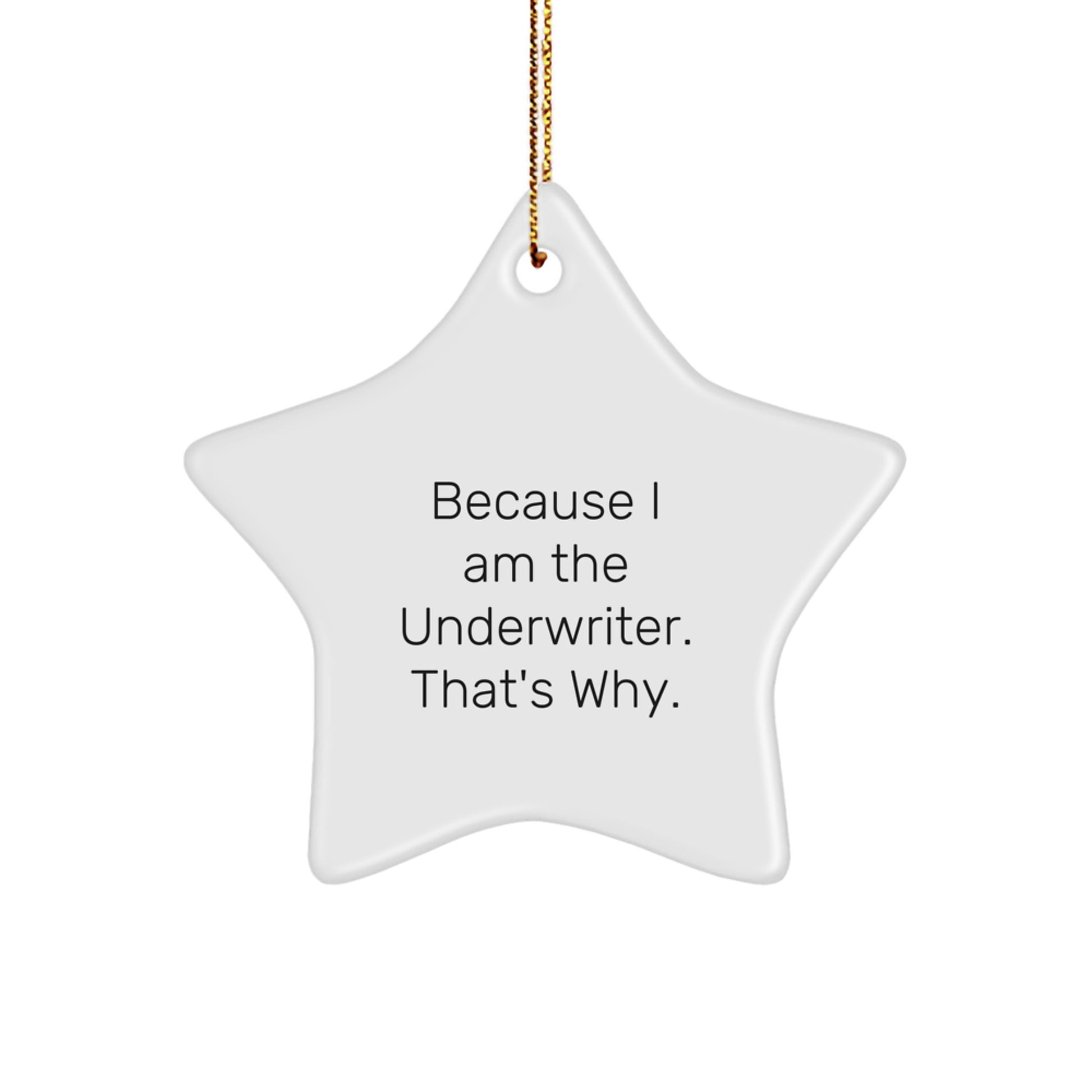Funny Underwriter Gifts from Friends - Cute Star Ornament for Christmas Unique Presents - Image 1
