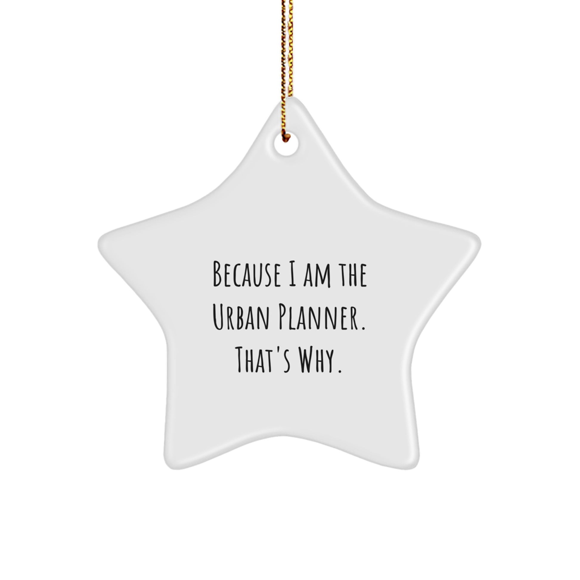 Unique Gifts from Friends to Urban Planner, Funny Star Ornament for Christmas - Image 1