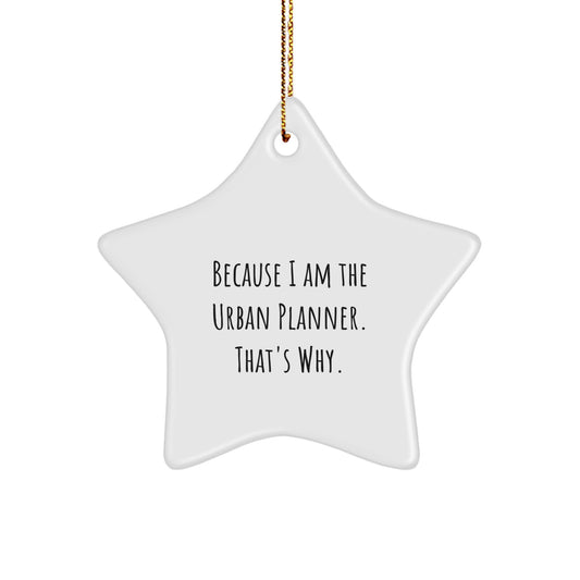 Unique Gifts from Friends to Urban Planner, Funny Star Ornament for Christmas - Image 1