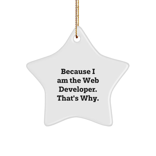 Funny Web Developer Gifts from Friends, Christmas Unique Star Ornament for Web Developer, Inspirational Quote Because I Am The Web Developer. That's Why. - Image 1
