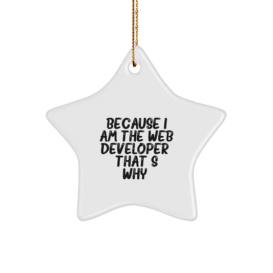 Funny Star Ornament Gifts from Friends to Web Developers, Unique Christmas Decorations for Men, Women, Coworkers - 'Because I Am The Web Developer. That's Why.' - Image 1
