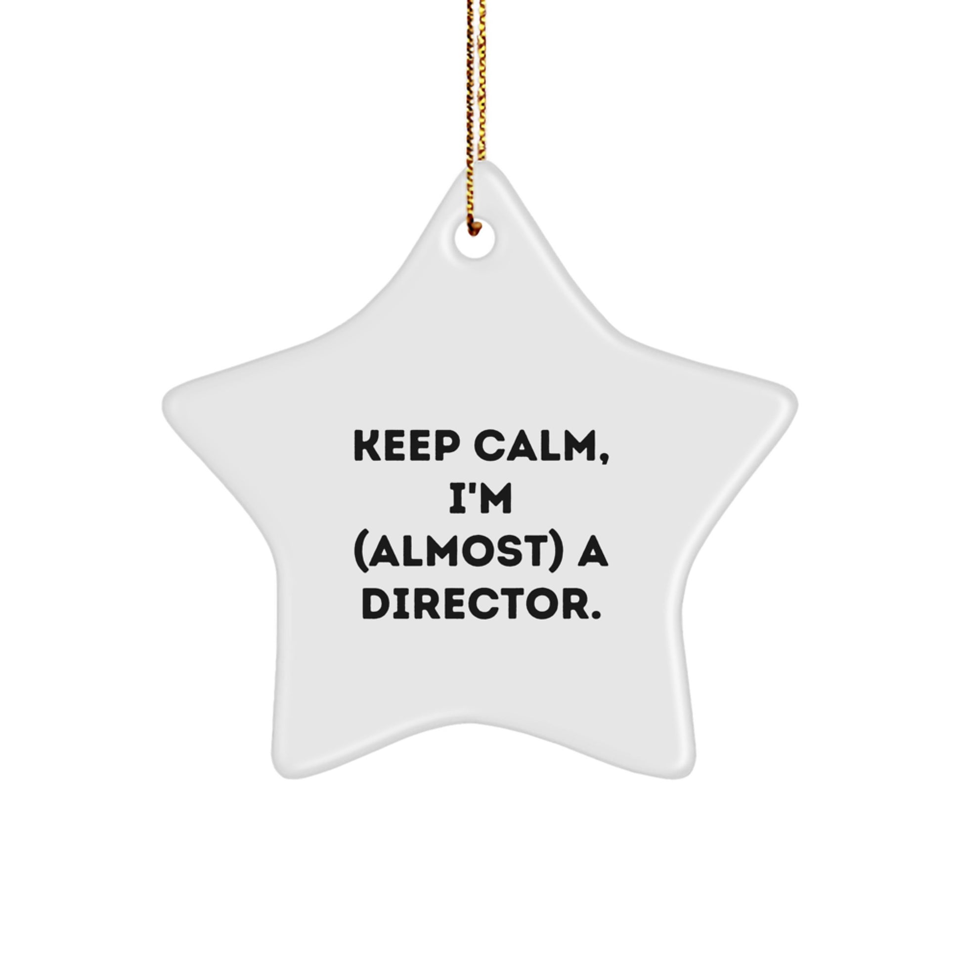 Funny Director Star Ornament Gifts from Family and Friends for Director - Christmas Unique Gifts - Image 1