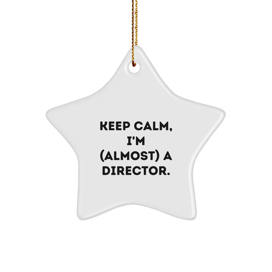 Funny Director Star Ornament Gifts from Family and Friends for Director - Christmas Unique Gifts - Image 1