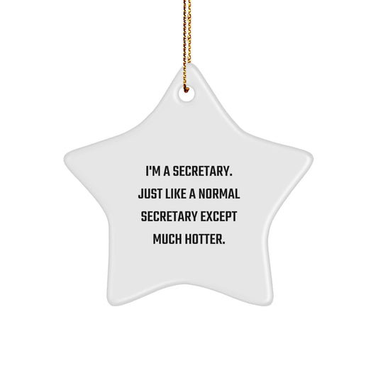 Funny Secretary Gifts from Friends for Secretary Star Ornament Christmas Unique Gift - Image 1