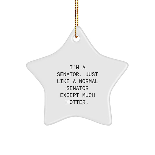 Funny Senator Star Ornament Gifts for Senator Men Friends, Unique Christmas Unique Gifts from Friends to Senator, Senator Christmas Decorations with Humor - Image 1
