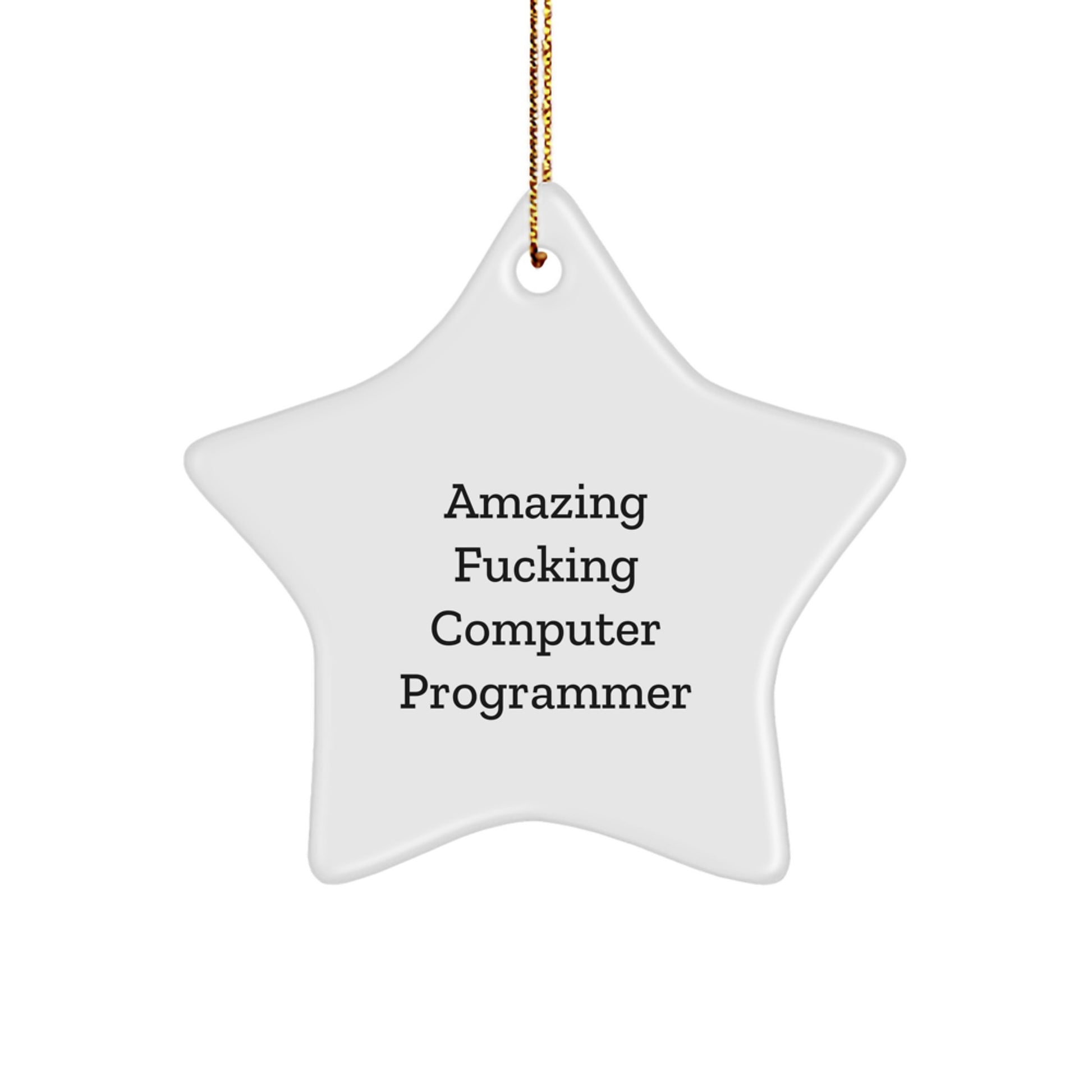 Funny Gifts from Men to Computer Programmer Friends, Computer Programmer Star Ornament for Men, Christmas Unique Star Gifts for Computer Programmer Programmers - Image 1