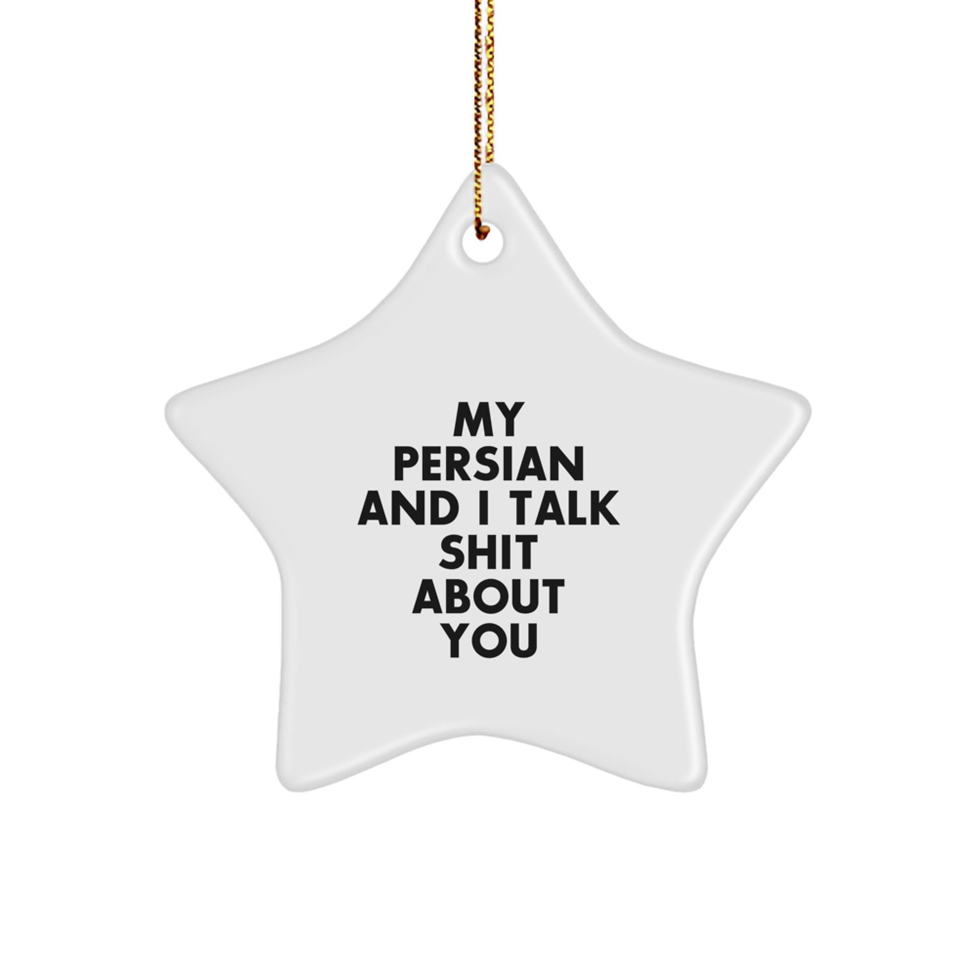 Funny Persian Cat Star Ornament Gifts from Men to Persian Cat Lovers this Christmas - Image 1
