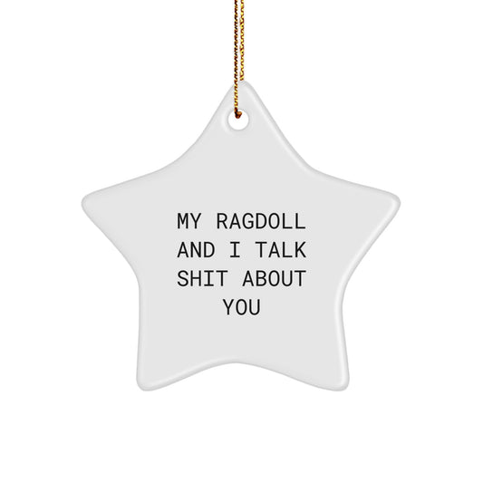 Funny Ragdoll Cat Star Ornament Gifts from Family - My Ragdoll And I Talk Shit About You - Image 1
