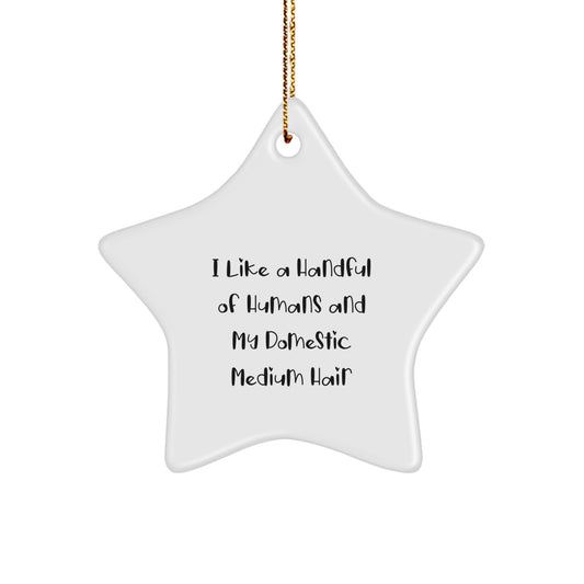 Funny Domestic Medium Hair Cat Star Ornament Gifts from Family for Christmas Unique Gifts - Image 1