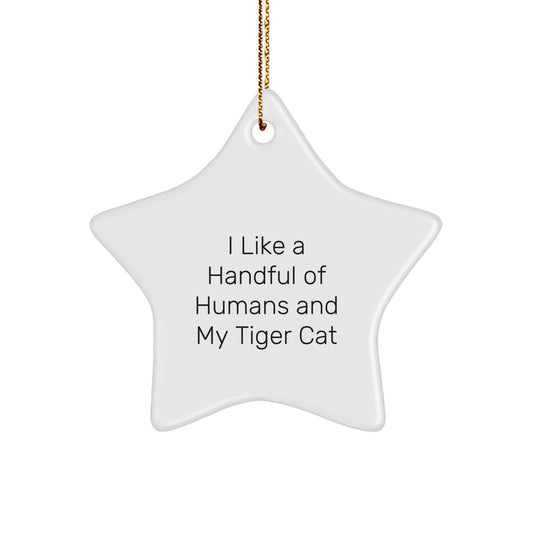Tiger Cat Lover Funny Star Ornament Gifts from Men for Christmas Unique Decorations - Image 1