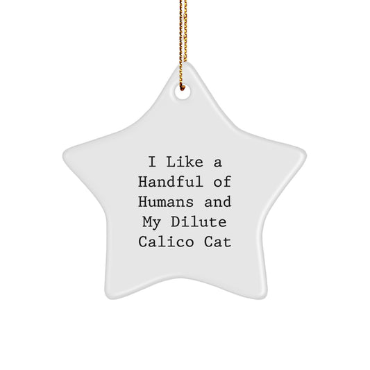 Funny Dilute Calico Cat Lover Christmas Unique Gifts from Friends to Family Star Ornament - Image 1