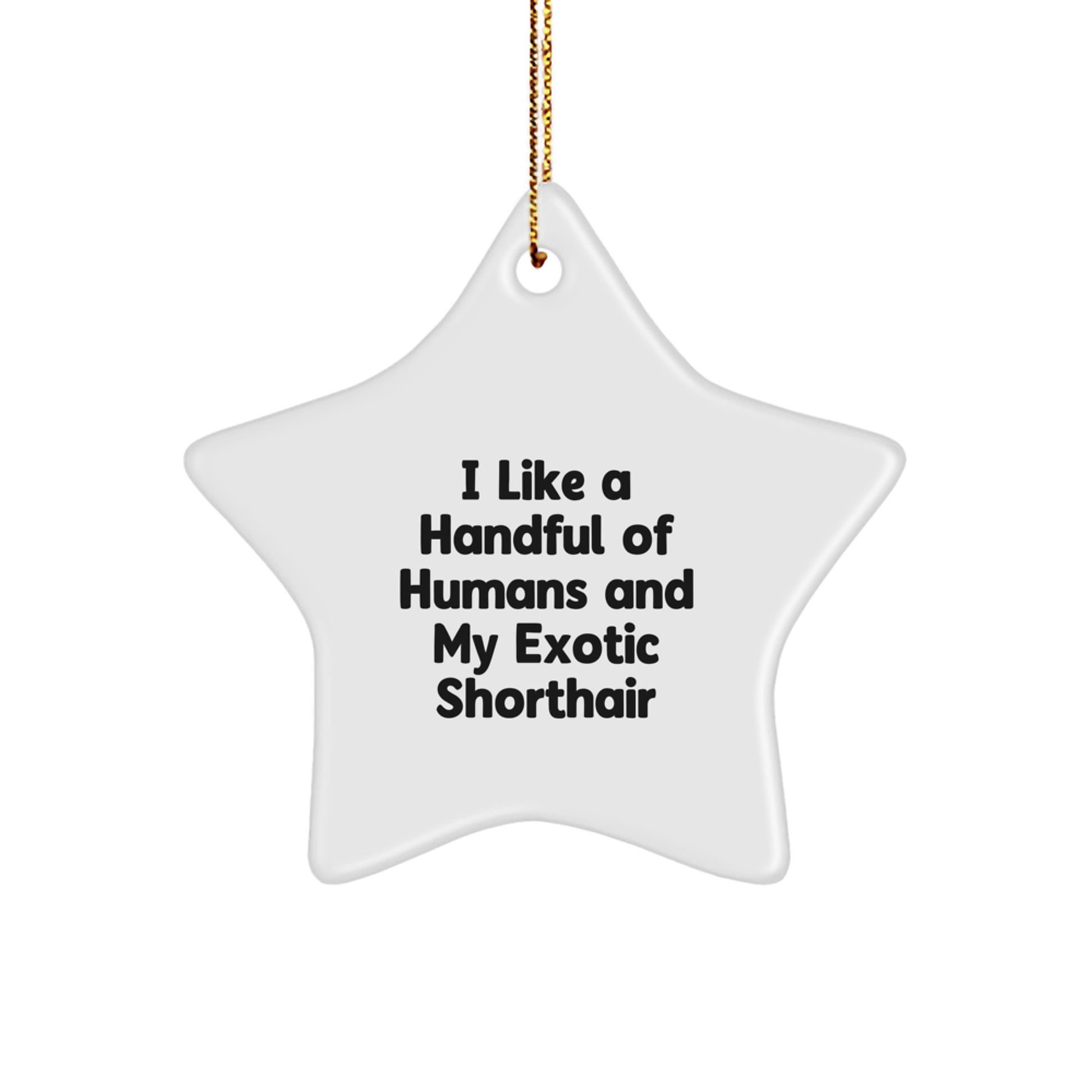 Funny Exotic Shorthair Cat Gifts for Christmas, Star Ornament, I Like A Handful Of Humans And My Exotic Shorthair - Image 1