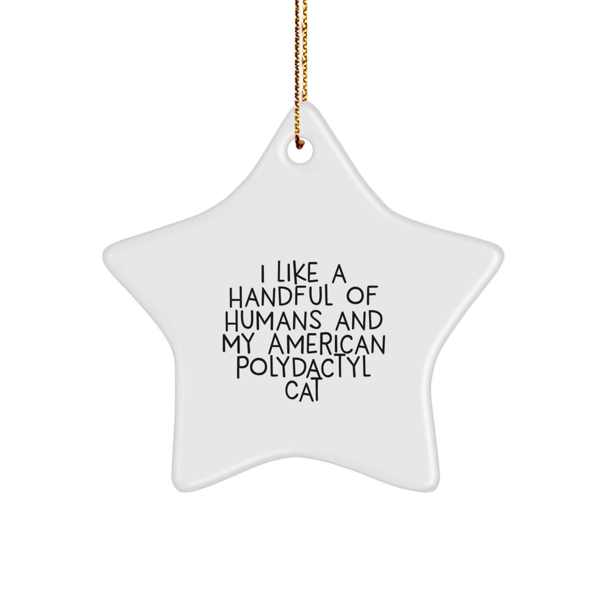 Funny American Polydactyl Cat Star Ornaments Gifts from Friends for Men Women Family - 'I Like A Handful Of Humans And My American Polydactyl Cat' Christmas Unique Gifts - Image 1