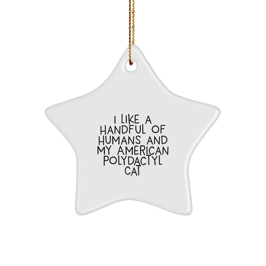 Funny American Polydactyl Cat Star Ornaments Gifts from Friends for Men Women Family - 'I Like A Handful Of Humans And My American Polydactyl Cat' Christmas Unique Gifts - Image 1