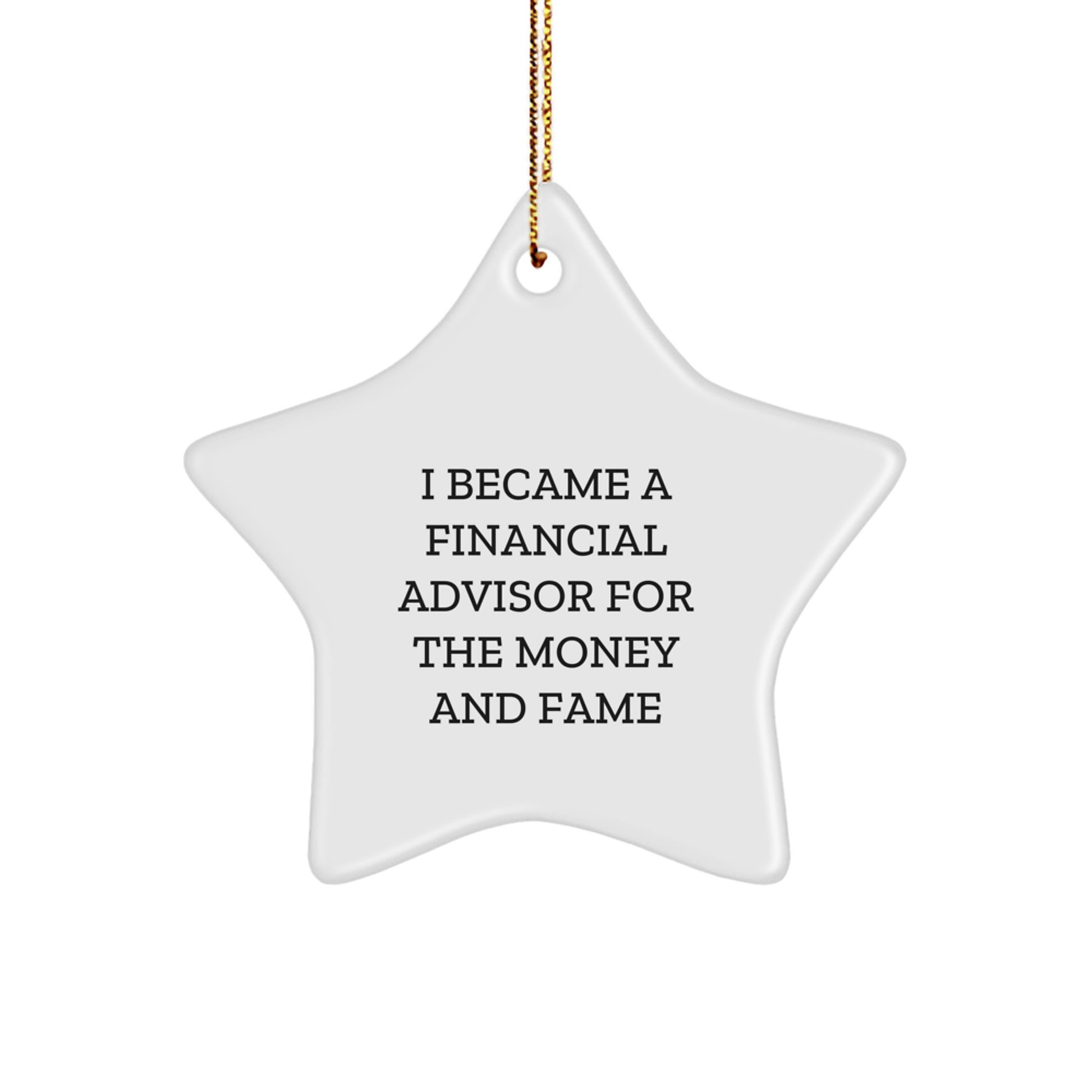 Funny Financial Advisor Gifts for Men Funny Star Ornament I Became A Financial Advisor For The Money And Fame Christmas Unique Gifts from Friends - Image 1