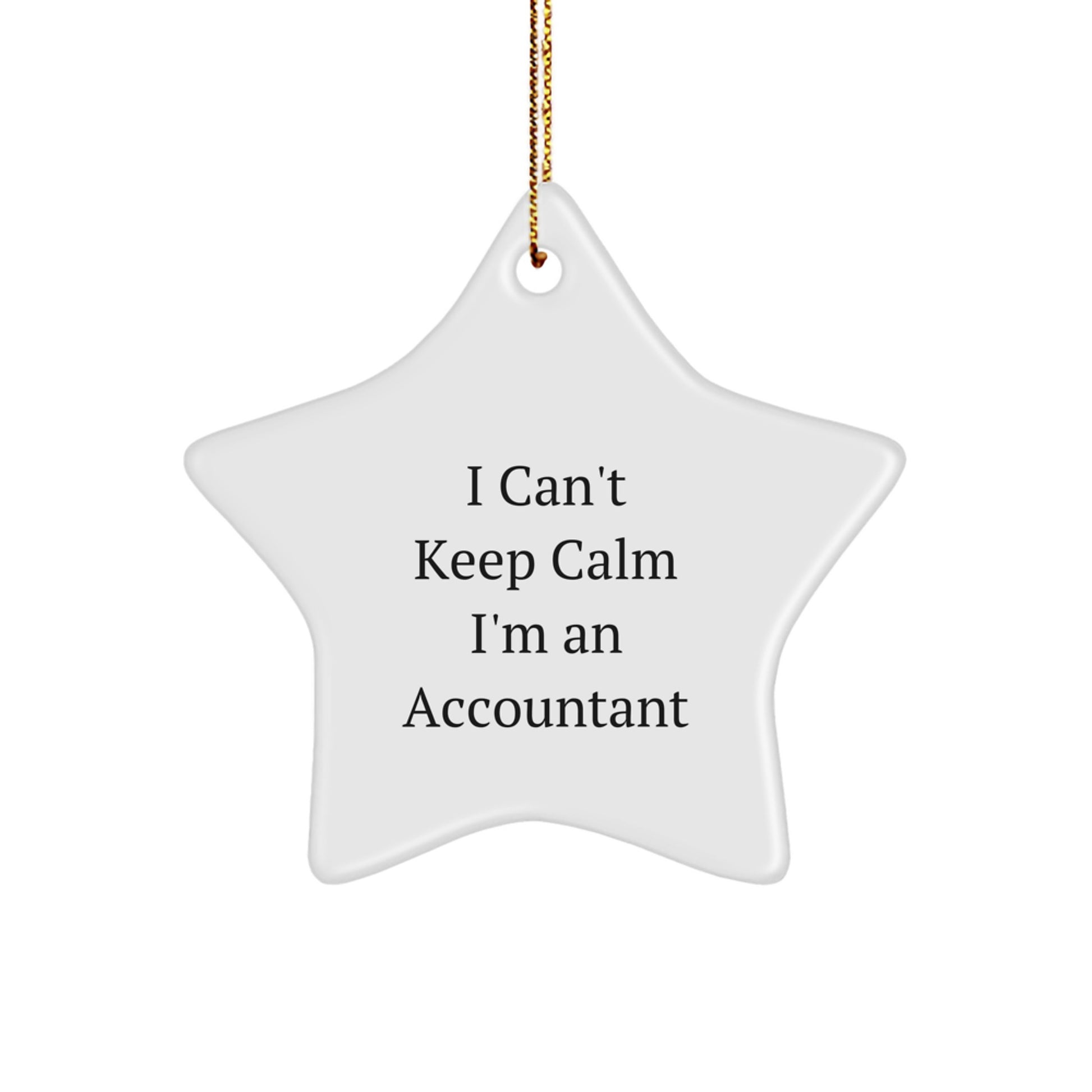 Funny Accountant Star Ornament Gifts from Friends, Family, Coworkers for Christmas Unique Gifts - Image 1