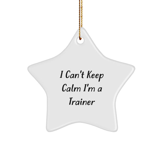 Funny Star Ornament for Trainers, Gifts from Friends to Trainers, Christmas Unique Trainer Decorations, I Can't Keep Calm I'm A Trainer Motivational Star - Image 1