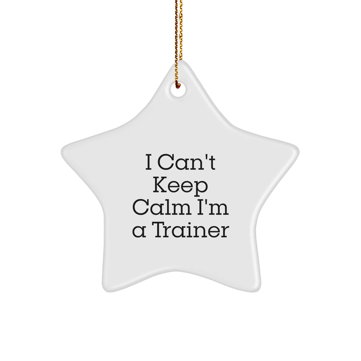 Funny Trainer Star Ornaments for Trainers - Trainer Gifts from Friends, Family and Coworkers, 'I Can't Keep Calm I'm A Trainer' Christmas Unique Gifts - Image 1