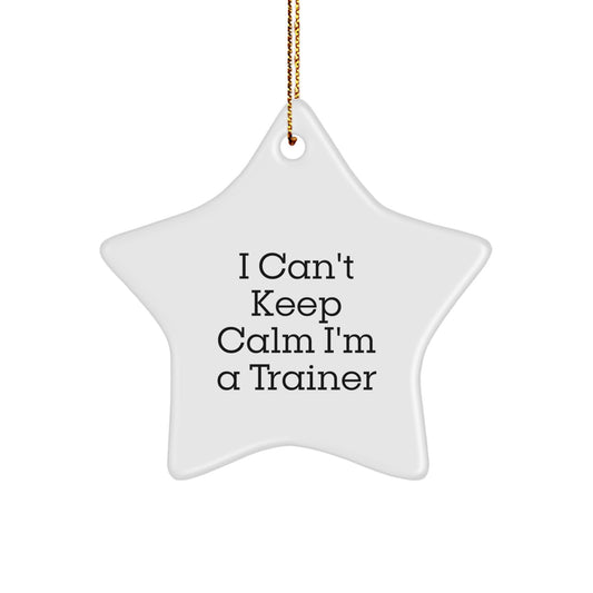 Funny Trainer Star Ornaments for Trainers - Trainer Gifts from Friends, Family and Coworkers, 'I Can't Keep Calm I'm A Trainer' Christmas Unique Gifts - Image 1