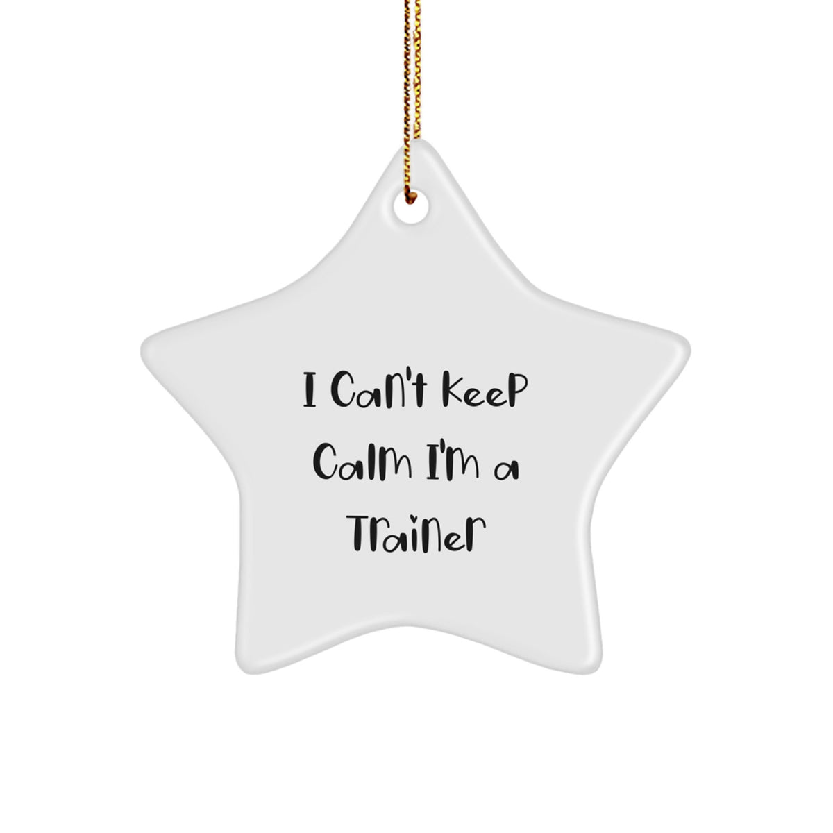 Funny Trainer Gifts from Friends for Men - Star Ornament I Can't Keep Calm I'm A Trainer, Cute Christmas Unique Gifts for Family, Perfect for Home Decor - Image 1
