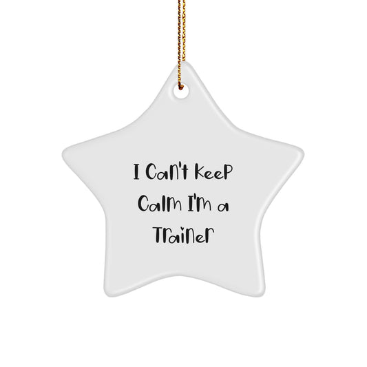Funny Trainer Gifts from Friends for Men - Star Ornament I Can't Keep Calm I'm A Trainer, Cute Christmas Unique Gifts for Family, Perfect for Home Decor - Image 1