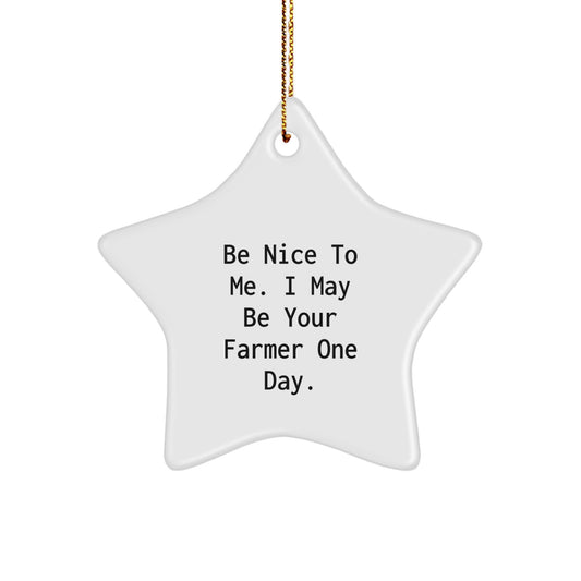 Funny Farmer Gifts from Friends, Unique Christmas Star Ornament for Farmer Men, Be Nice To Me. I May Be Your Farmer One Day. Star Shaped White - Image 1