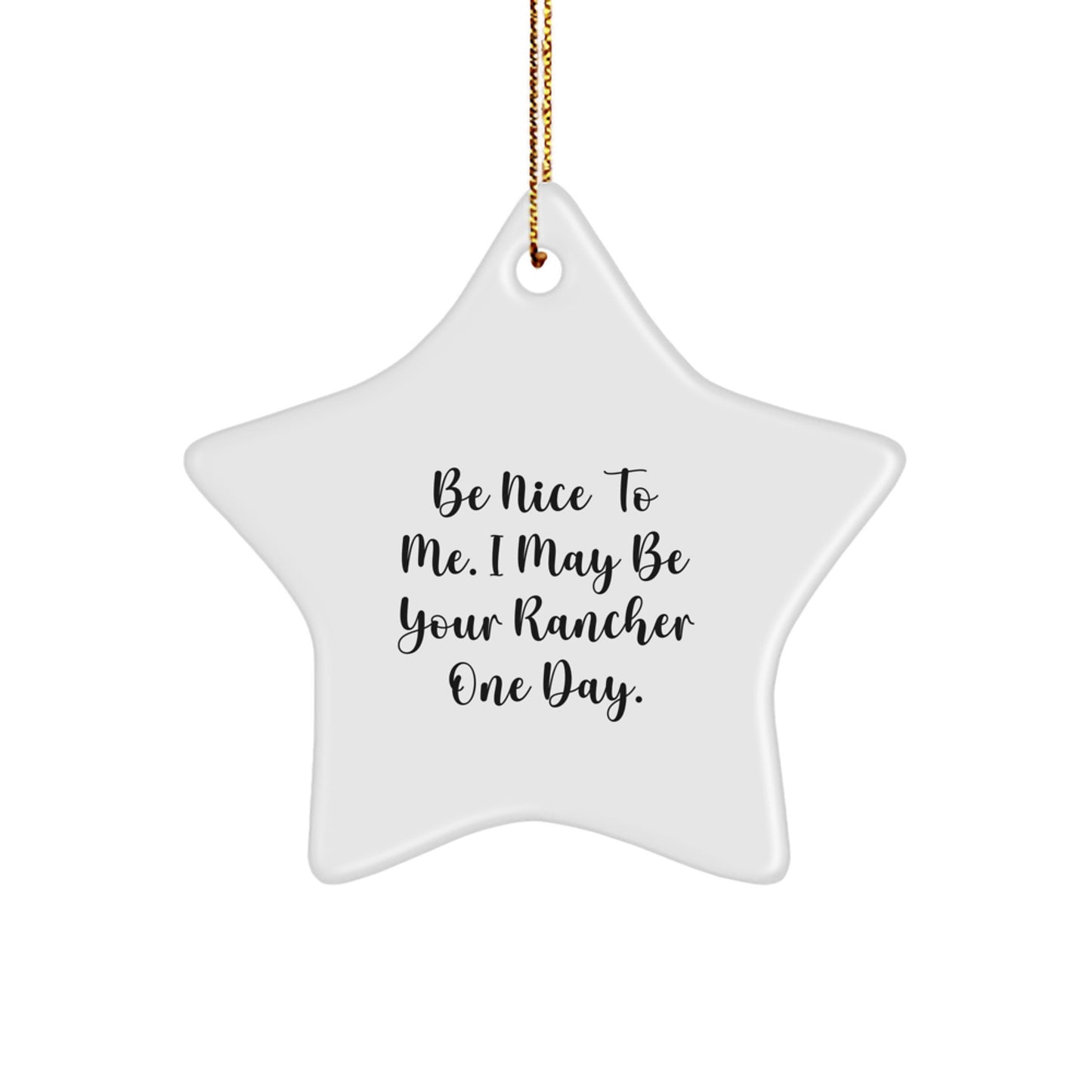 Funny Gift for Rancher Friends - Star Ornament with Be Nice To Me Quote, Perfect for Christmas Unique Gifts from Family, Perfect for Christmas Decorations, Great for Men - Image 1