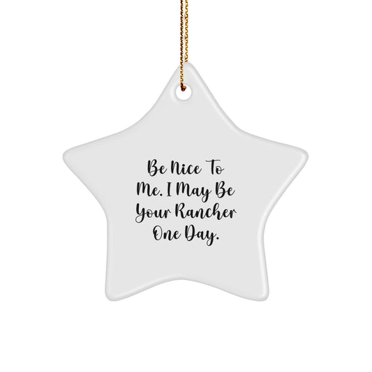 Funny Gift for Rancher Friends - Star Ornament with Be Nice To Me Quote, Perfect for Christmas Unique Gifts from Family, Perfect for Christmas Decorations, Great for Men - Image 1