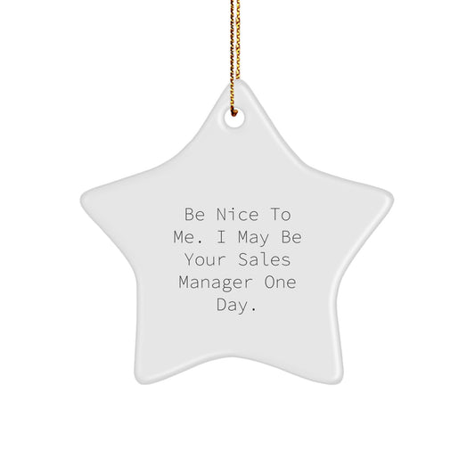 Funny Sales Manager Gifts, Be Nice to Me Star Ornament from Friends, Unique Christmas Decorations for Sales Manager - Image 1